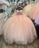 Pink Tulle Applique Beaded Long Sleeve Quinceaine Dress Prom Dress Graduation Dress Evening Dress Sweet 16 Years Old Dress HZ1023