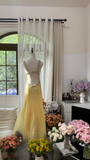 Light Yellow Gorgeous Shiny Fashion Elegant Exquisite Beaded Long Tulle Backless Fairy Ball Gown Evening Dress Birthday/Wedding Guest/Holiday Party Dress Prom Dress Valentine's Day Date Dress HZ1023