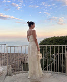 Ivory Tulle Spaghetti Strap Elegant Long Evening Gown Party Dress HZ1023