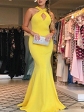 Sexy Prom Dresses Party Dresses Formal Gowns HZ1023