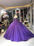 Purple Gorgeous Exquisite Beaded Long Tulle Fashion Ball Gown Evening Dress HZ1023