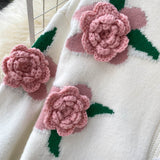 Cute Cardigan Long Sleeve Sweater HZ1023